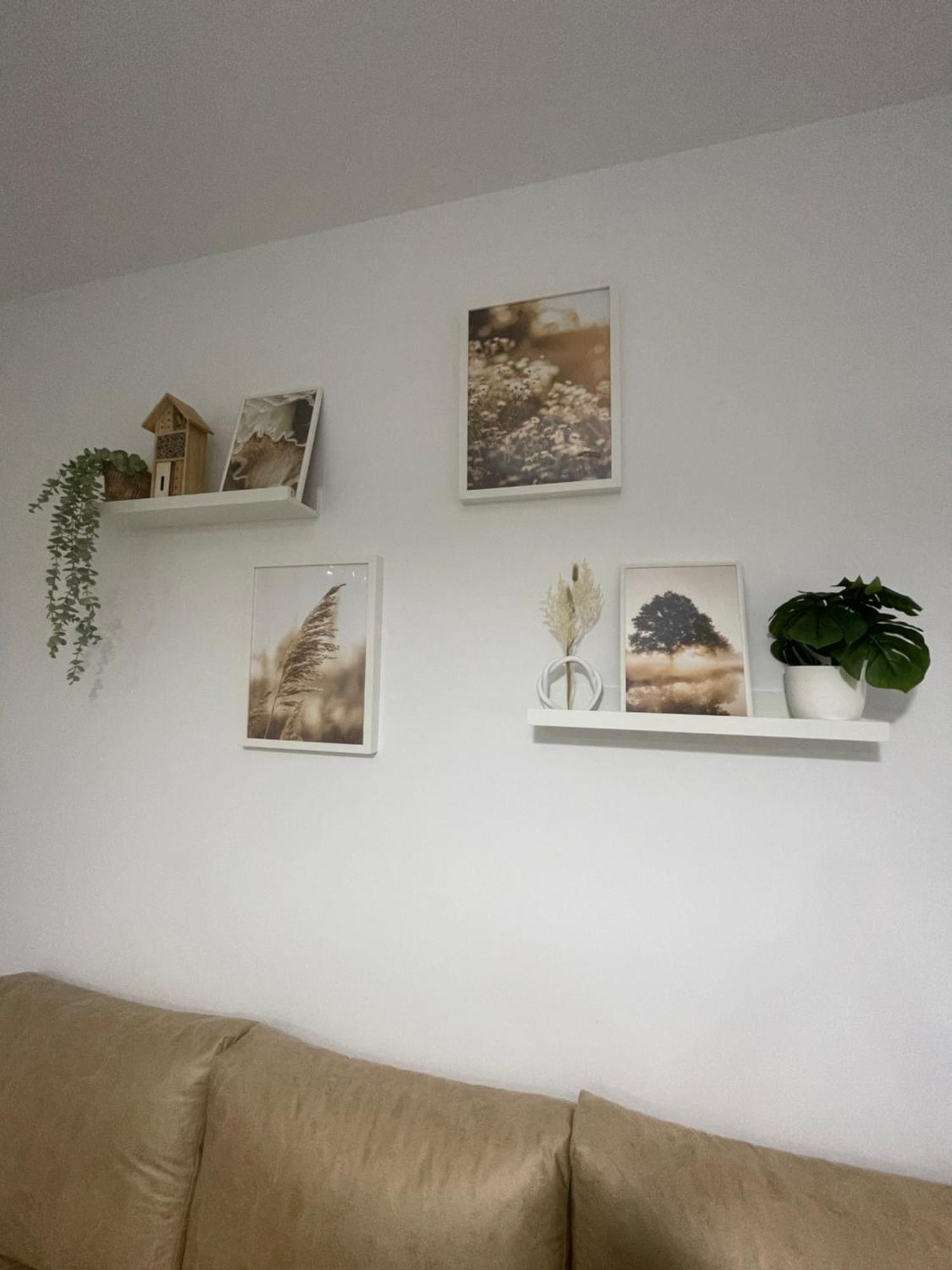 Apartamento Vitelio كارمونا المظهر الخارجي الصورة